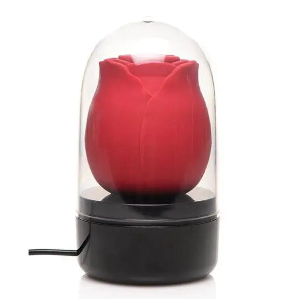 Bloomgasm Wild Rose 10x Stimulator with Display Case